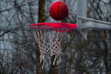Basketball rot