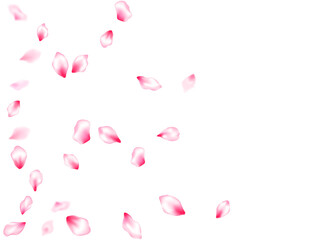 Spring tree flowers parts, airy flying petals