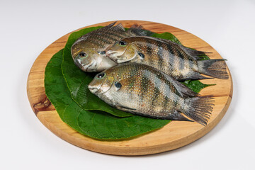 Kari meen_Pearl spot fish