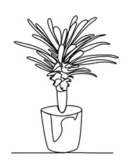 Dracaena potted Plant Succulent Agave Houseplant Continuous Line drawing black on white isolated vector illustration