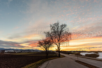 Obraz premium Sonnenuntergang vor dem Ostalpen mit Straße und Baum, Wolken und farbigen Himmel und Bergen 
