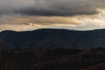 Forest Silhouette with beautiful blue and orange sky on dusk. Beskid Mountains, Poland.