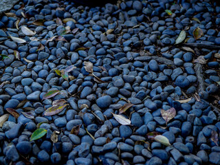 Black Pebbles