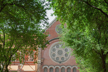 Antique vietnamese window with decoration pattern on bricks wall hidden behind the tamarind trees