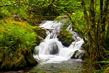 Beautiful waterfall in the Muniellos National Park in Asturias