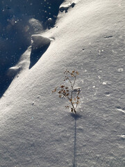 snow