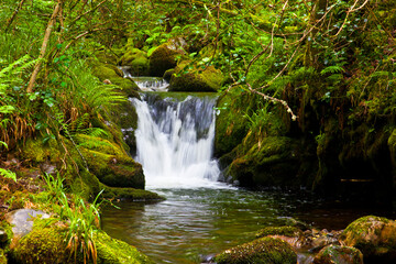 Beautiful waterfall in the Muniellos National Park in Asturias