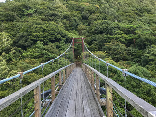 Fototapeta premium The wooden bridge - suspended 