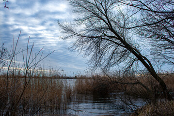 Naklejka na ściany i meble River Landscapes at different times of the day