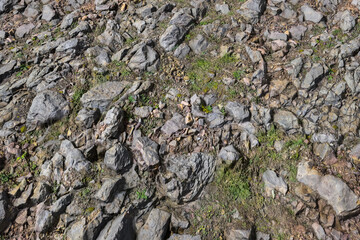 stones stony floor and moss