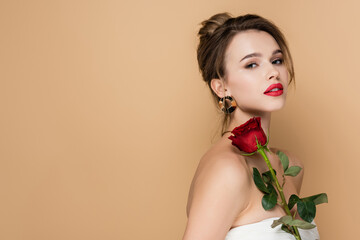 pretty young woman in strapless top holding red rose and looking at camera isolated on beige.