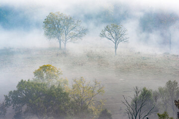 Early morning mist in the Allegheny Mountains, West Virginia