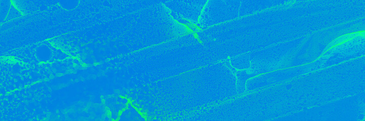 Ocean Alcohol Ink. Blue Caribbean Parchment. Jade