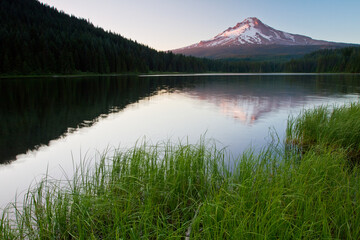 Mt. Hood reflecting in lake