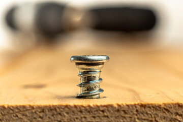 Closeup of screw being screwed into a wooden plank - macro shoot - electric screwdriver background.