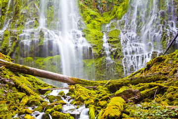 waterfall in the forest