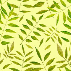 Fototapeta na wymiar Seamless pattern of hand-drawn green leaves. watercolor