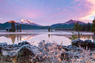 Frosty Morning 