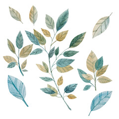 Obraz premium Branch with leaves. Watercolor.hand drawn