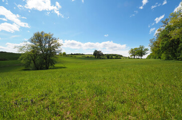 Niedersächsisches Hügelland, Ithwiesen im Sommer