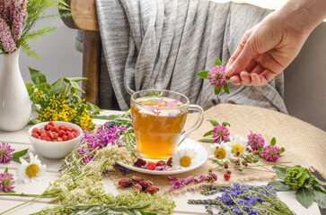 A woman brews herbal tea in a glass cup with clover