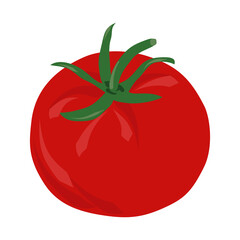 Red tomato with green leaves. Cartoon style with large brush strokes. Tomato fruit symbol, icon, food. Vegetable illustration isolated on white background. Vector design element