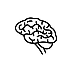 Human organ brain line icon. Isolated vector element.