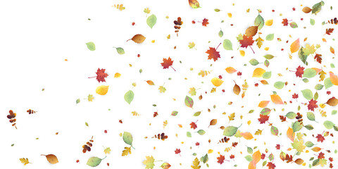 Leaves Falling Autumn Foliage Chaotic Leaf Flying
