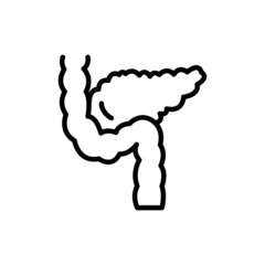 Human organ pancreas line icon. Isolated vector element.
