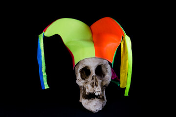 human skull with harlequin hat, maracas, flower necklace, for carnival