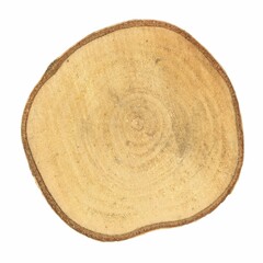 tree trunk cross section isolated over white