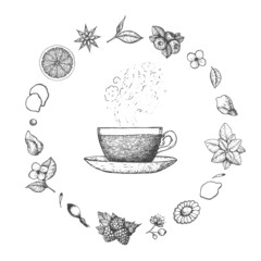 Herbal Tea vector illustration. Vector design with herbal tea ingredients. Hand drawn sketch collection. Engraved style. - obrazy, fototapety, plakaty