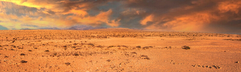Fototapeta na wymiar Beautiful desert on Fuerteventura Island, Canary , Spain.