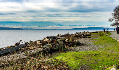 Ocean And Mountains 7