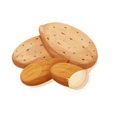 Almond in nutshell detailed raw nut, organic product, ingredient in cartoon style isolated on white background. Ripe plant, snack.