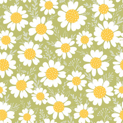 Floral seamless pattern with chamomile and leaves on green background. Spring summer floral print.