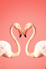 Zwei rosafarbene Flamingos, die eine Herzform machen. Konzept für den Valentinstag