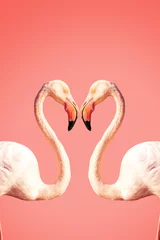 Deurstickers Koraal Twee roze flamingo& 39 s die een hartvorm maken. Concept voor Valentijnsdag