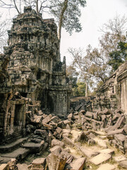 Fototapeta premium Ruins of an ancient stone temple lost in the Cambodian jungle - Ta Prohm of Angkor temples