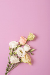 branch of eustoma flowers on pink background