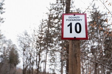 droga pożarowa w lesie © meegi