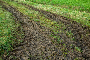 Fototapeta na wymiar Agricultural vehicle with large wheels leaves deep tire marks on a meadow after rain has softened the ground surface