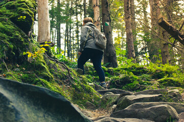Hiker woman with backpack climbing up a winding path, stones in green woods. Traveling, trekking, recreation, sport, tourism at sunny autumn, spring day. Female traveler on forest trail. Wanderlust.