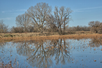 Loess Bluffs National Wildlife refuge (AKA Squaw Creek National Wildlife Refuge) located in NE Missouri near Mound City