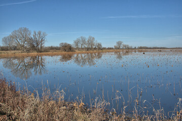 Loess Bluffs National Wildlife refuge (AKA Squaw Creek National Wildlife Refuge) located in NE Missouri near Mound City