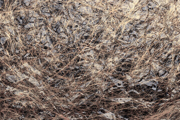 Fototapeta na wymiar Abstract background of thin light threads under cellophane. Close-up