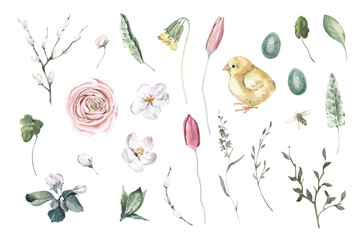 Fototapeta na wymiar Watercolor Easter set Spring Flowers, Chick, Eggs on White Background.