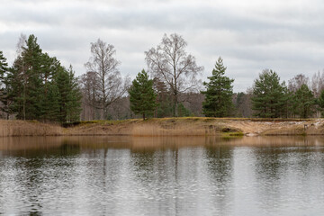 Fototapeta na wymiar trees on the shore of a lake