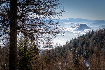 Alpes du sud de de la France, balades en foret à Chaillol.
