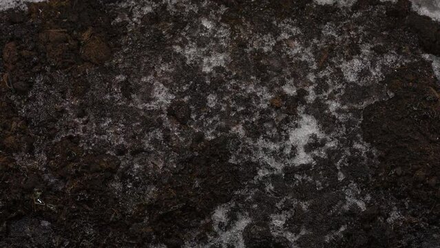 Timelapse close-up of melting snow on brown soil. Macro image, top view